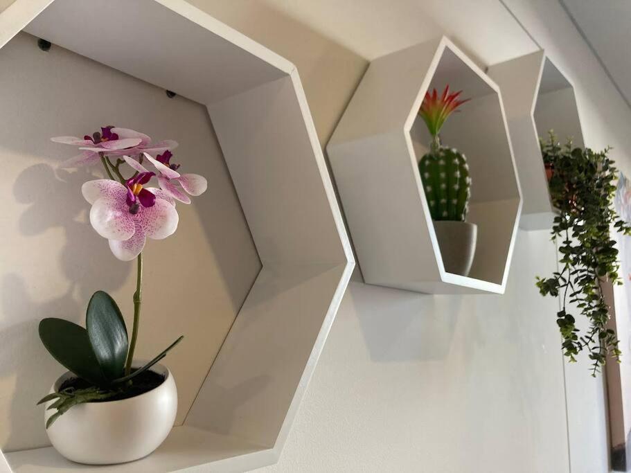 Acogedor Loft En Centro Internacional De Bogota Leilighet Eksteriør bilde